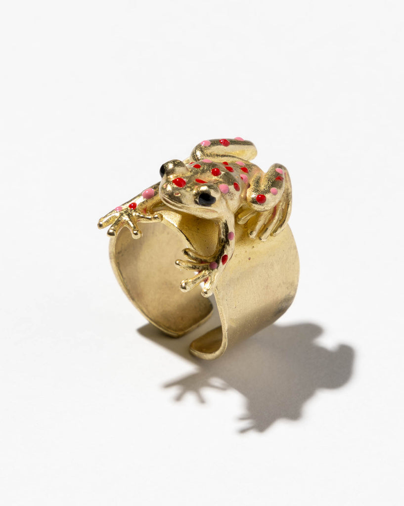 Anillo Madagascar