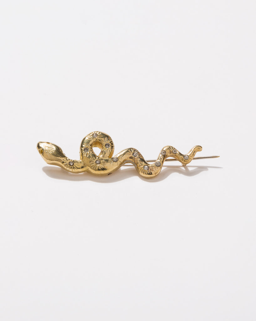 Broche Serpiente