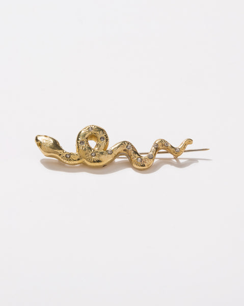 Broche Serpiente
